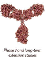 igg