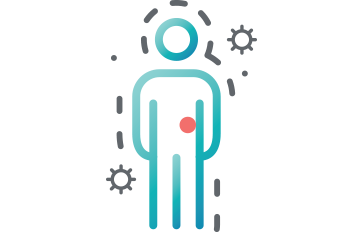 Body with dotted outline and B cell as a red dot in the spleen