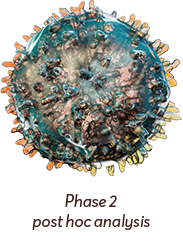 Image of a T-cell